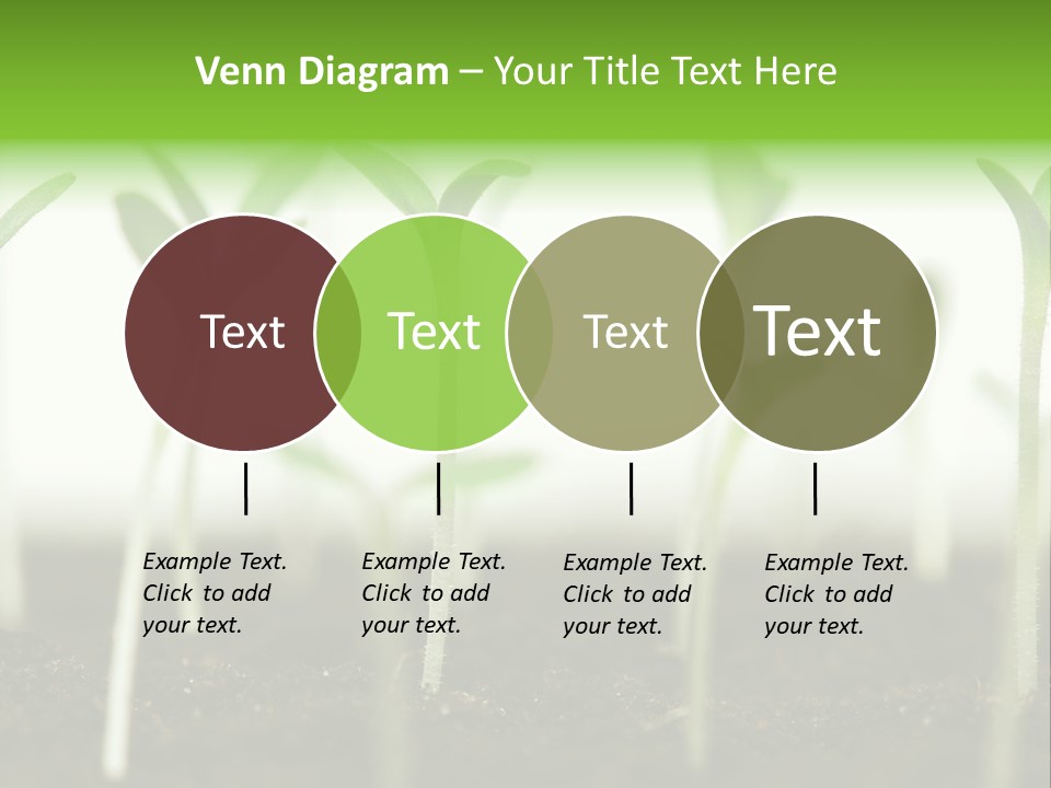 Life Care Develop PowerPoint Template