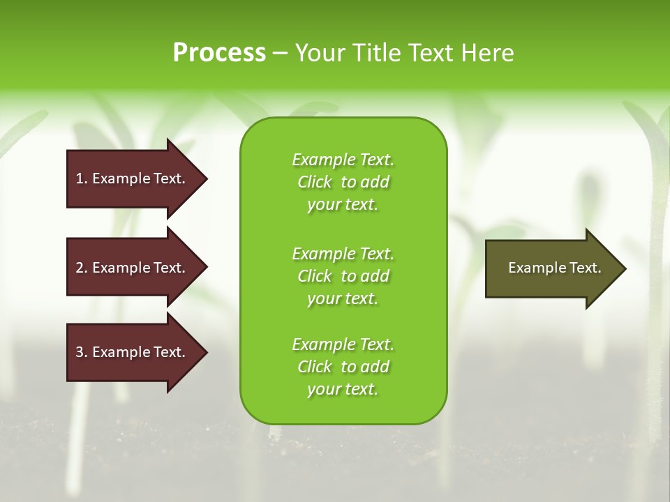 Life Care Develop PowerPoint Template