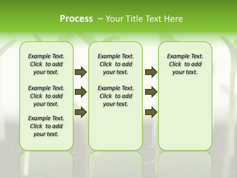 Life Care Develop PowerPoint Template