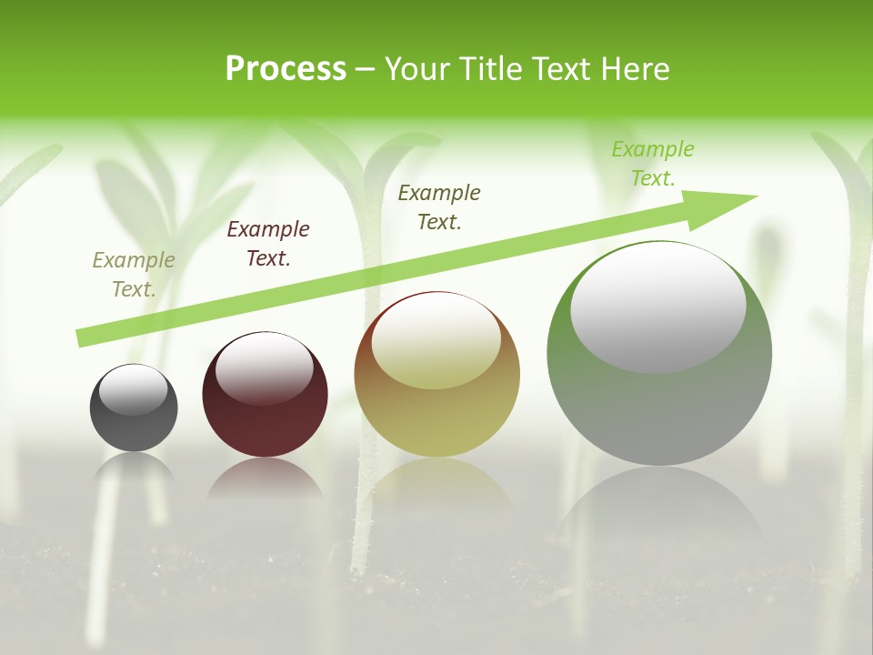 Life Care Develop PowerPoint Template