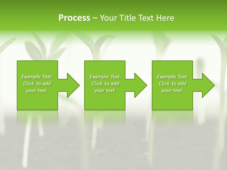 Life Care Develop PowerPoint Template