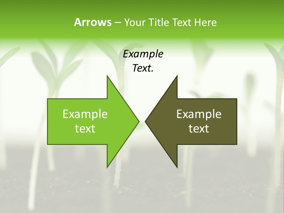 Life Care Develop PowerPoint Template