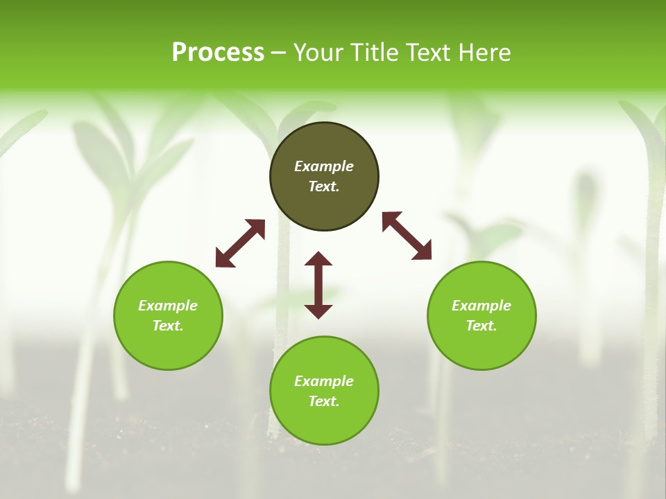 Life Care Develop PowerPoint Template