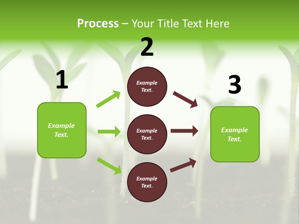 Life Care Develop PowerPoint Template