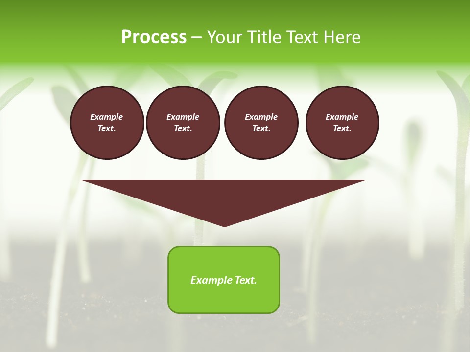 Life Care Develop PowerPoint Template