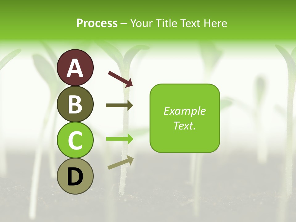 Life Care Develop PowerPoint Template
