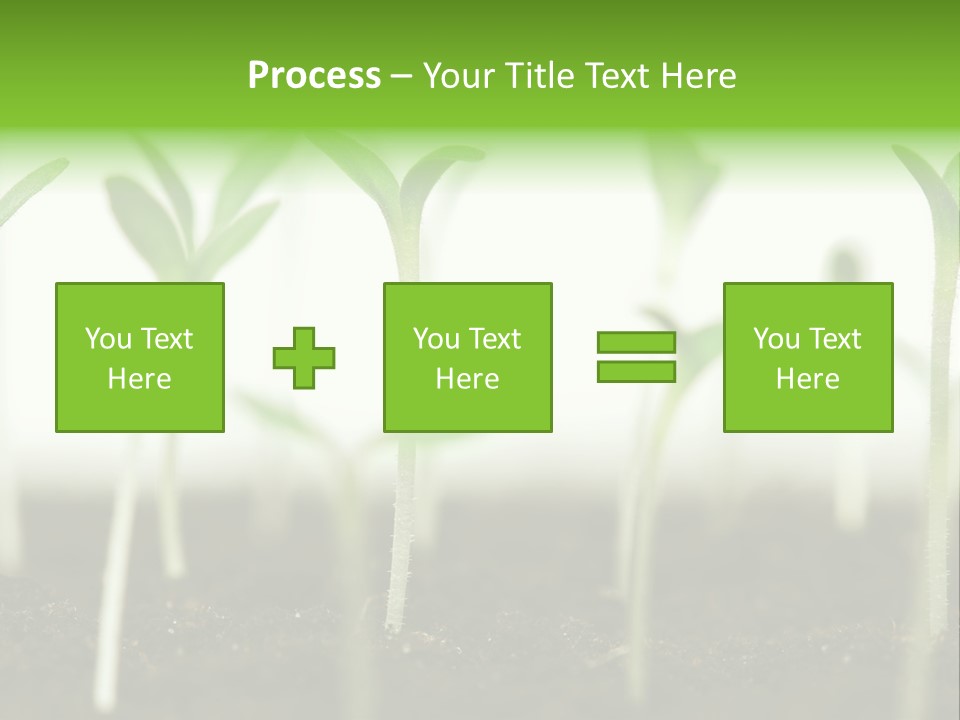 Life Care Develop PowerPoint Template