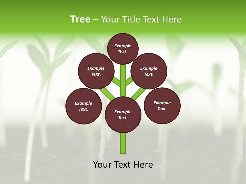 Life Care Develop PowerPoint Template