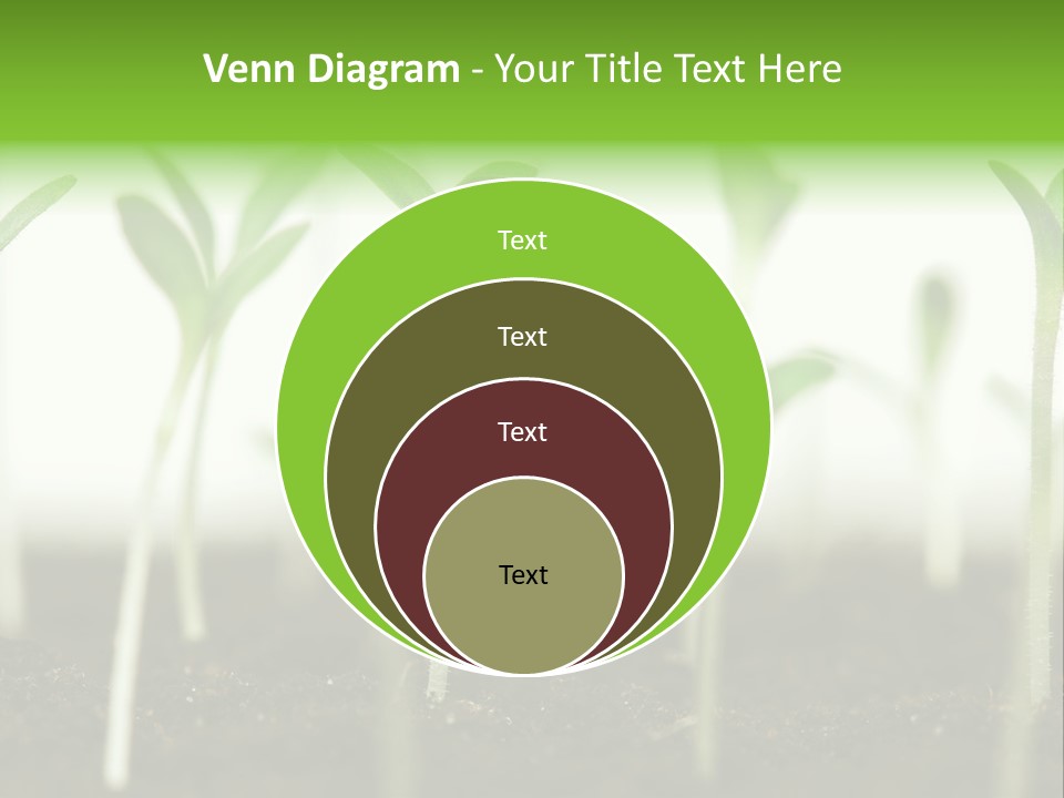 Life Care Develop PowerPoint Template