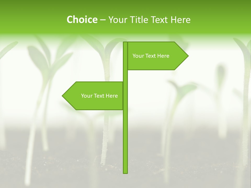 Life Care Develop PowerPoint Template