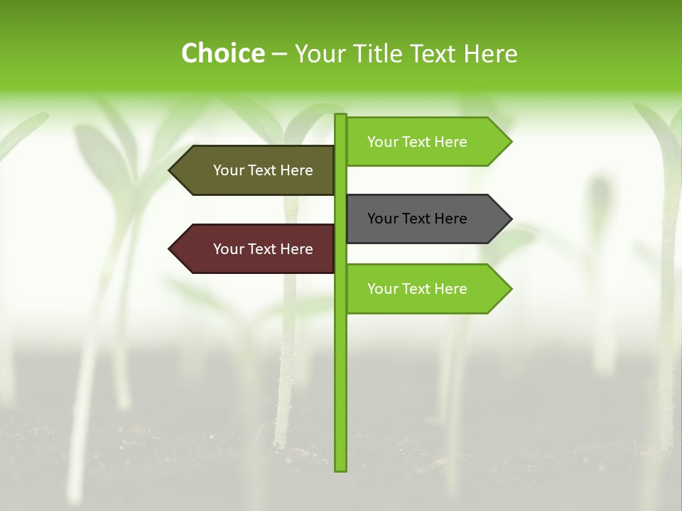 Life Care Develop PowerPoint Template