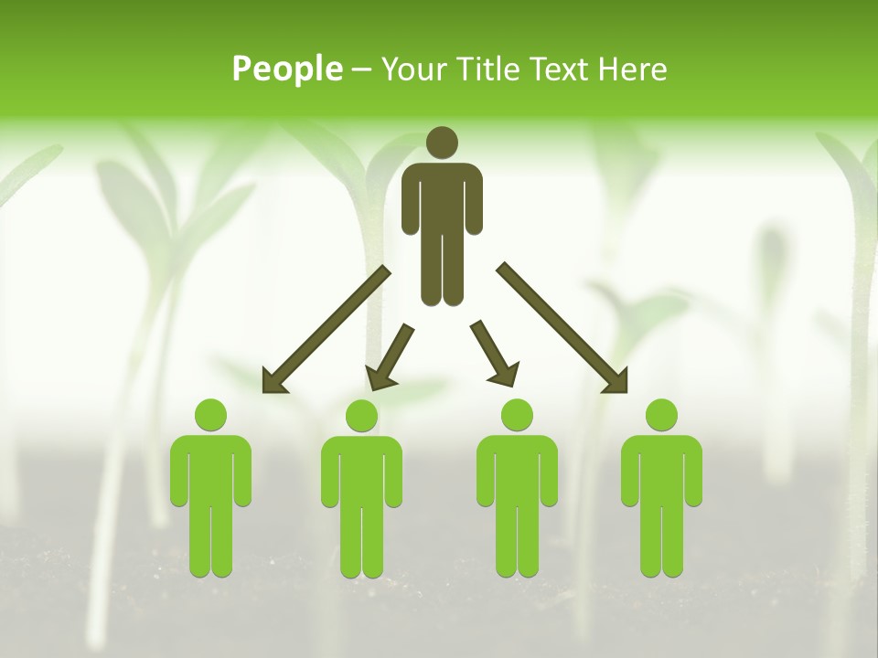 Life Care Develop PowerPoint Template