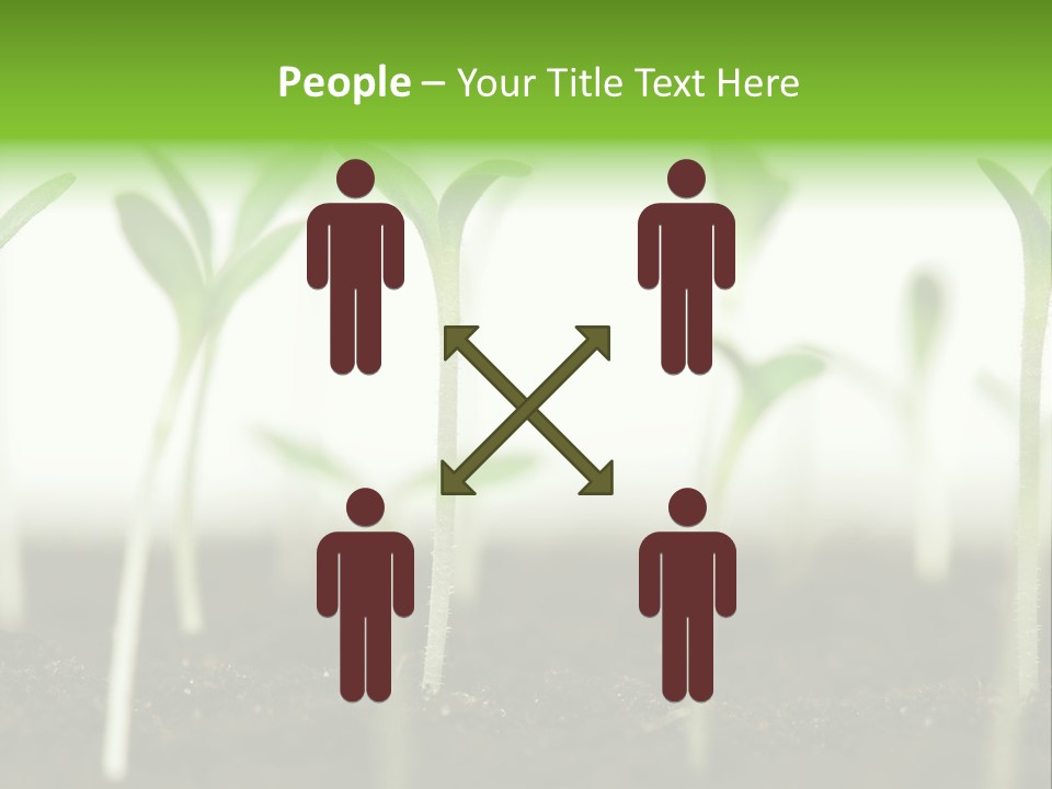 Life Care Develop PowerPoint Template