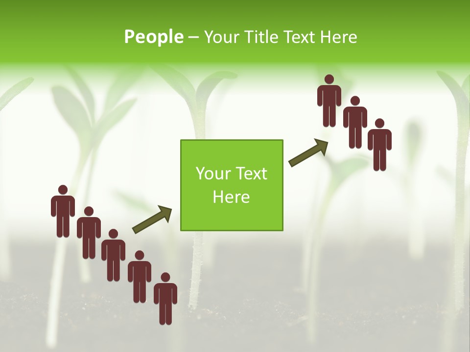 Life Care Develop PowerPoint Template