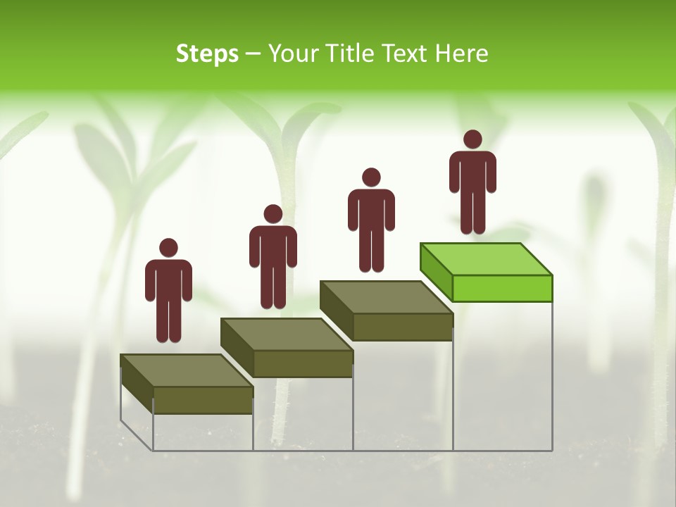 Life Care Develop PowerPoint Template