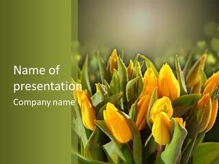 Corporate Itting Corporation PowerPoint Template
