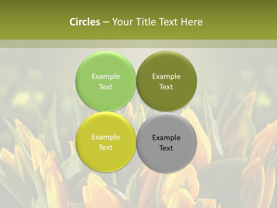Corporate Itting Corporation PowerPoint Template