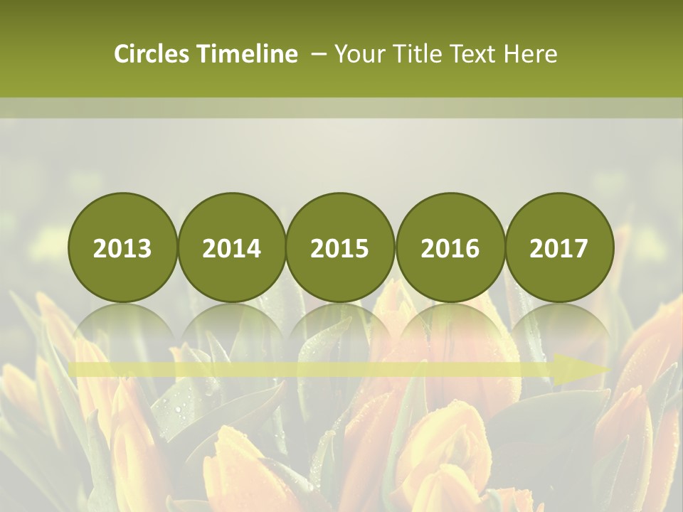 Corporate Itting Corporation PowerPoint Template