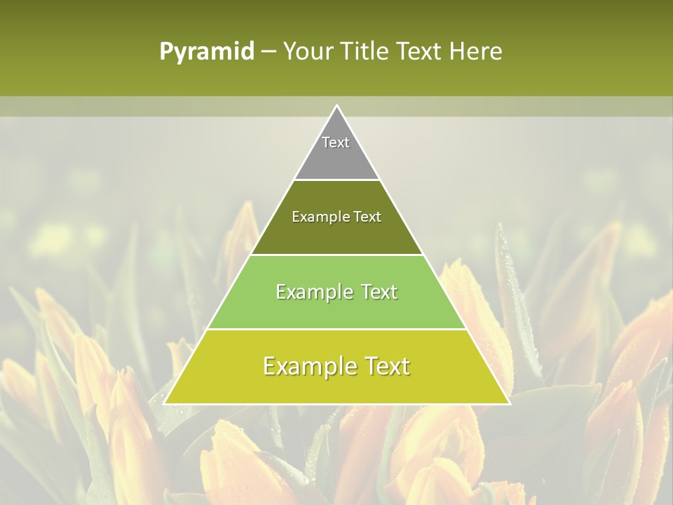 Corporate Itting Corporation PowerPoint Template