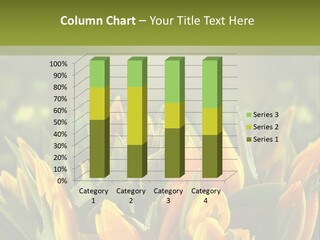 Corporate Itting Corporation PowerPoint Template