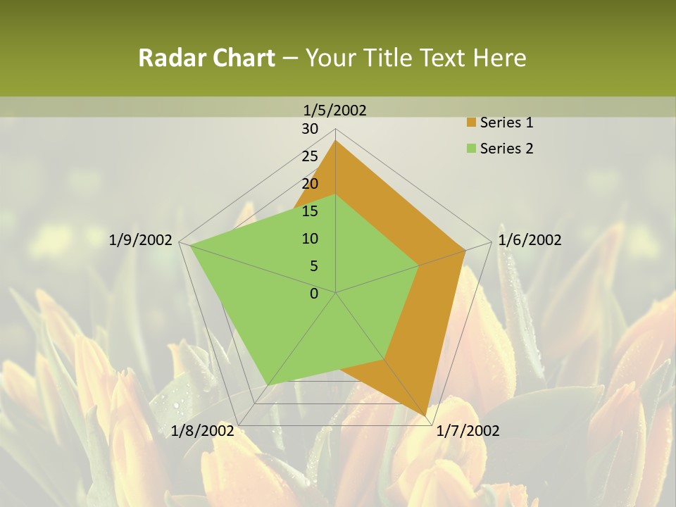 Corporate Itting Corporation PowerPoint Template