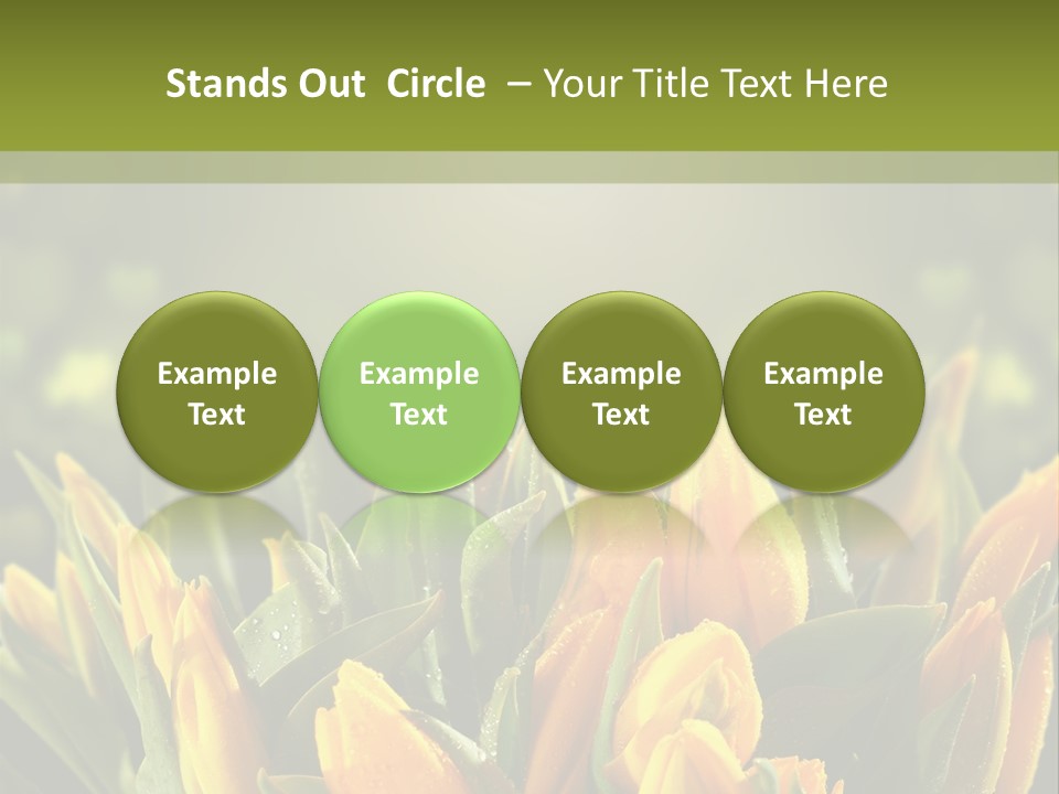 Corporate Itting Corporation PowerPoint Template