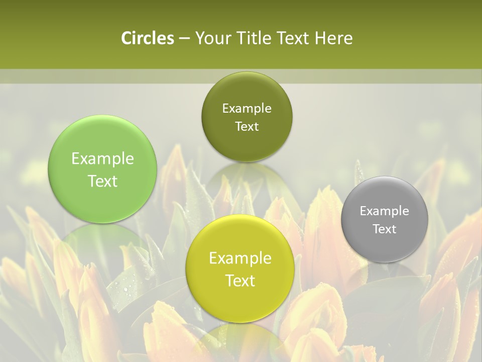 Corporate Itting Corporation PowerPoint Template