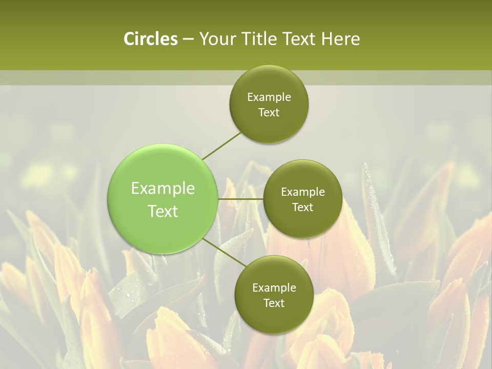 Corporate Itting Corporation PowerPoint Template