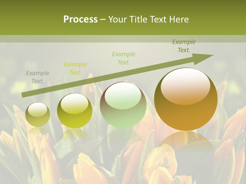 Corporate Itting Corporation PowerPoint Template