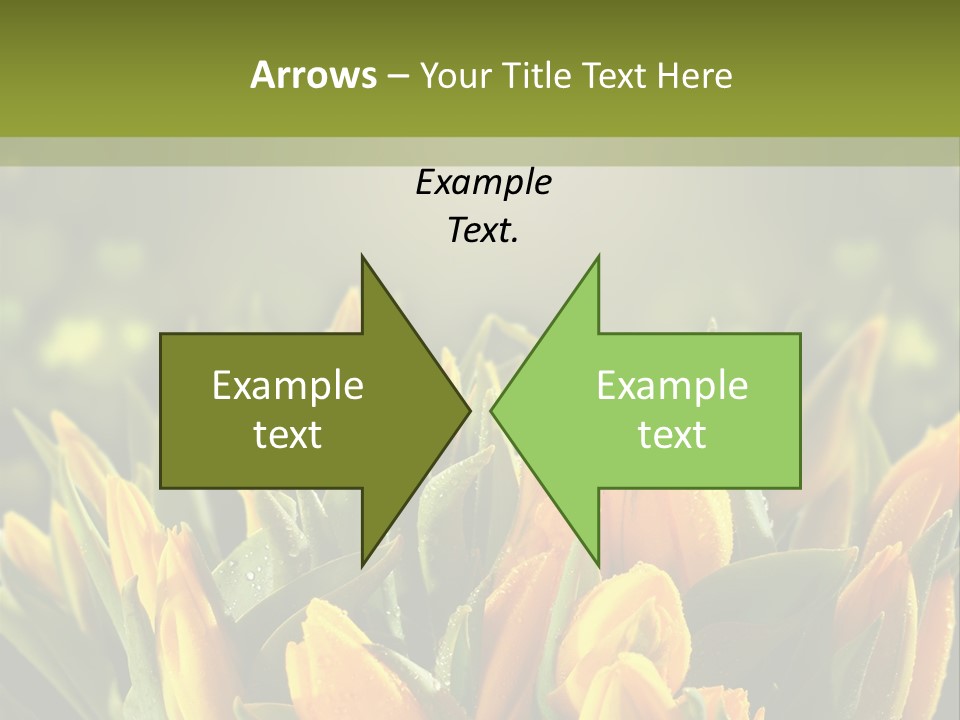 Corporate Itting Corporation PowerPoint Template