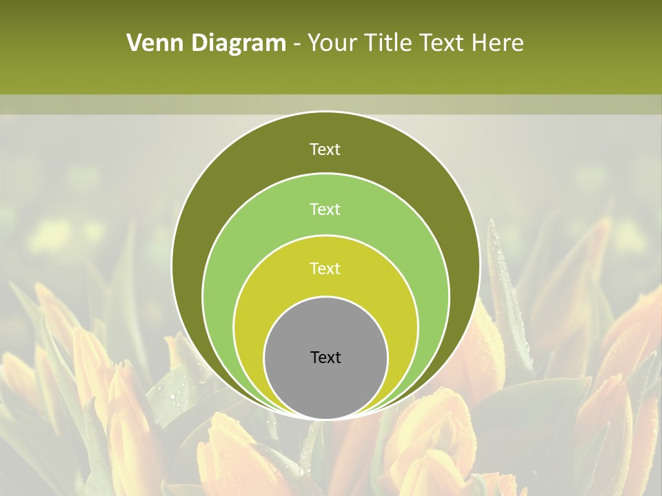 Corporate Itting Corporation PowerPoint Template
