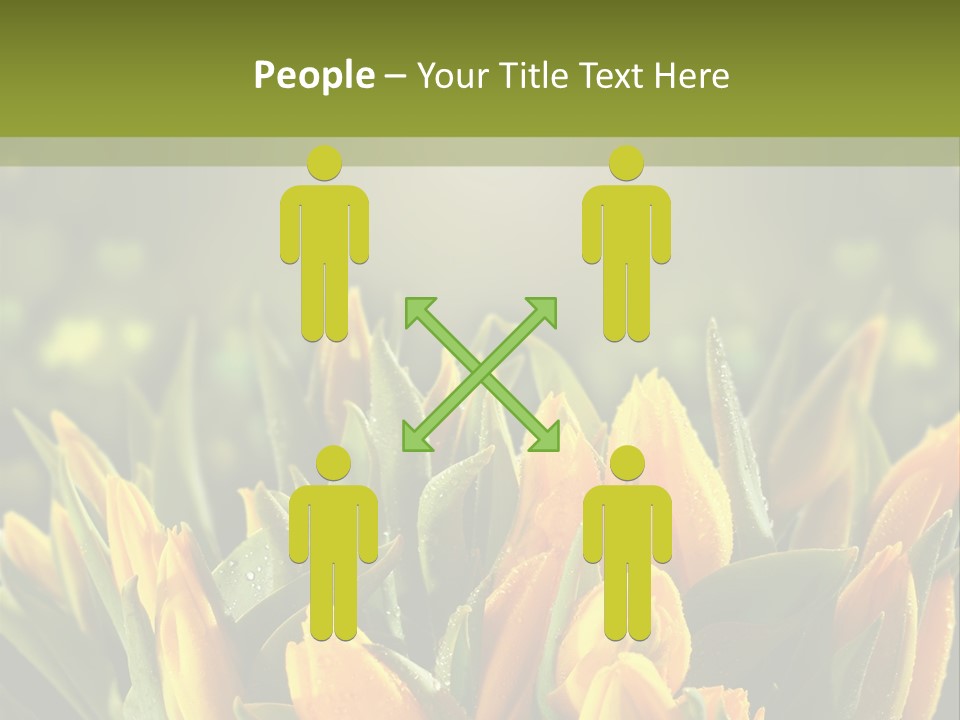 Corporate Itting Corporation PowerPoint Template