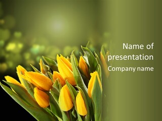 Table Bu Ine Company PowerPoint Template