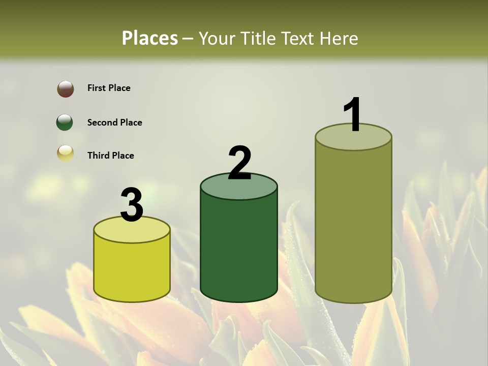Table Bu Ine Company PowerPoint Template
