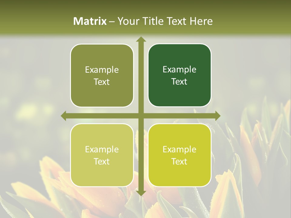 Table Bu Ine Company PowerPoint Template