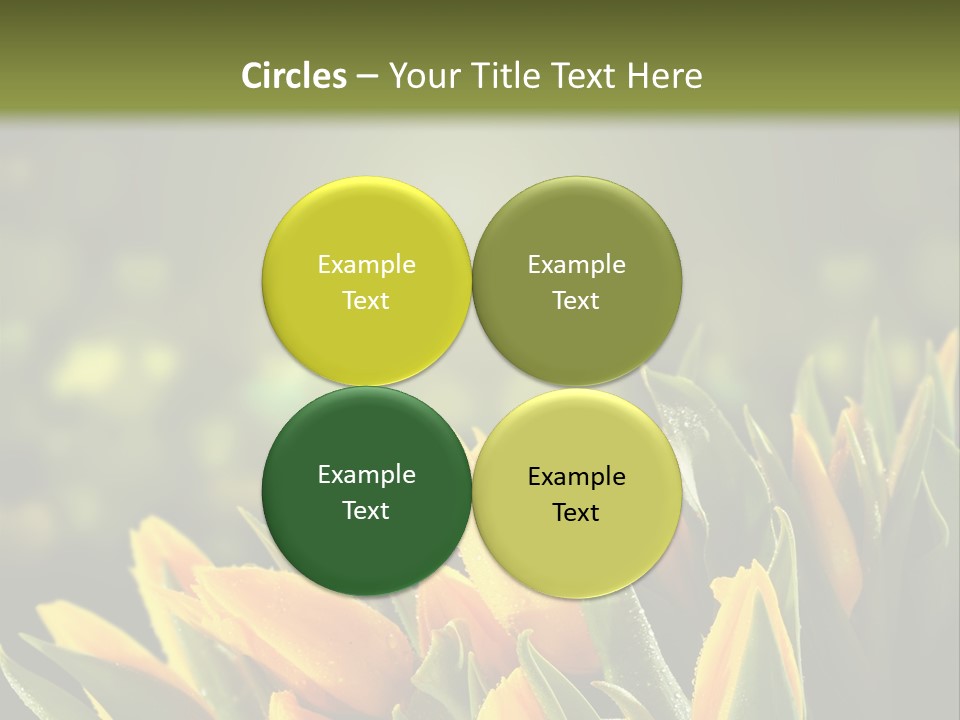 Table Bu Ine Company PowerPoint Template