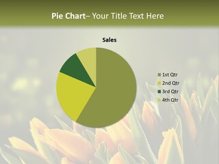 Table Bu Ine Company PowerPoint Template