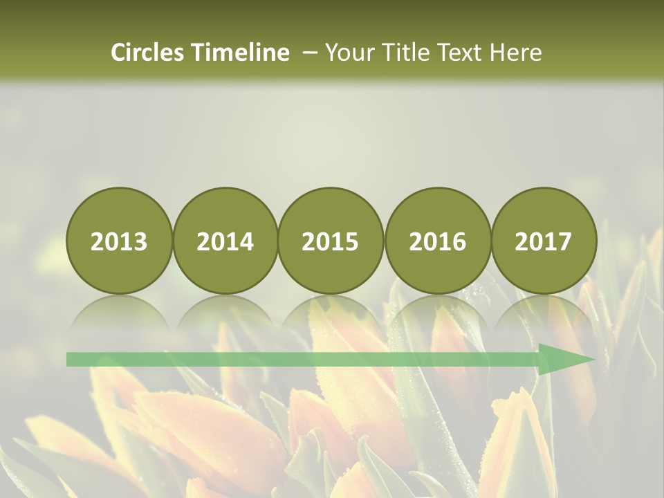 Table Bu Ine Company PowerPoint Template