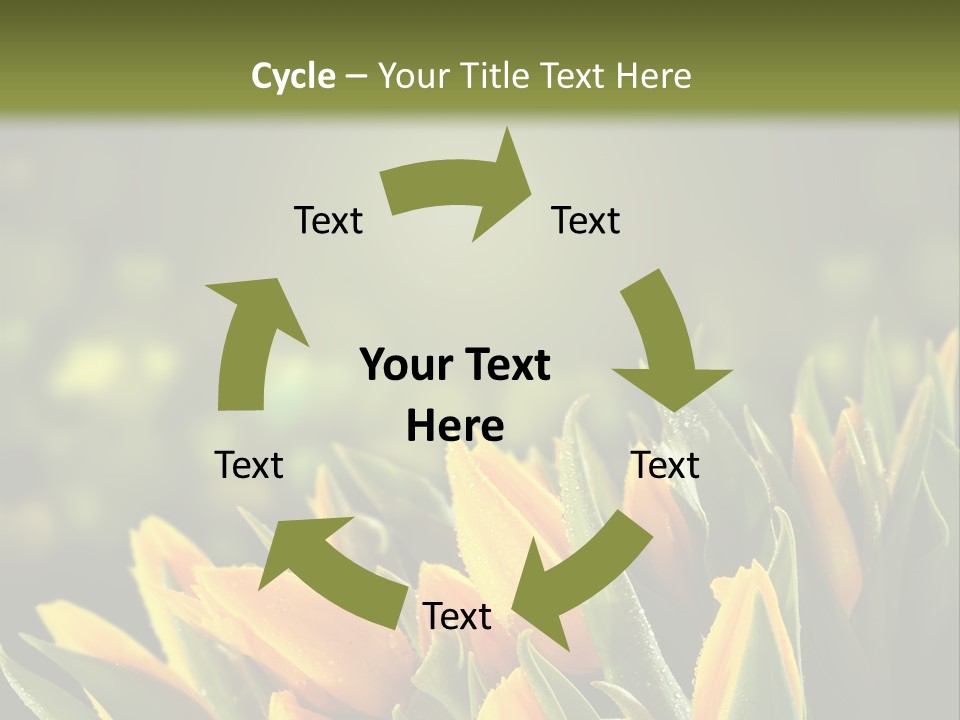 Table Bu Ine Company PowerPoint Template