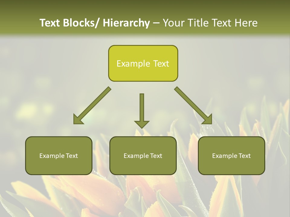 Table Bu Ine Company PowerPoint Template