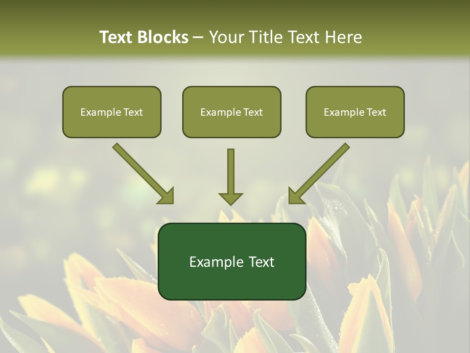Table Bu Ine Company PowerPoint Template