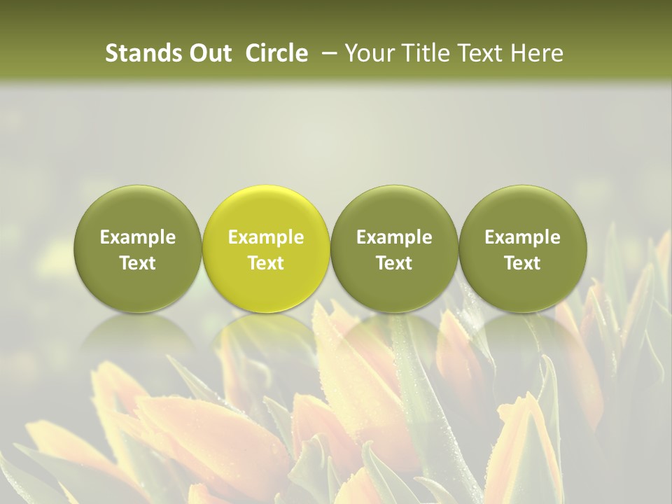 Table Bu Ine Company PowerPoint Template