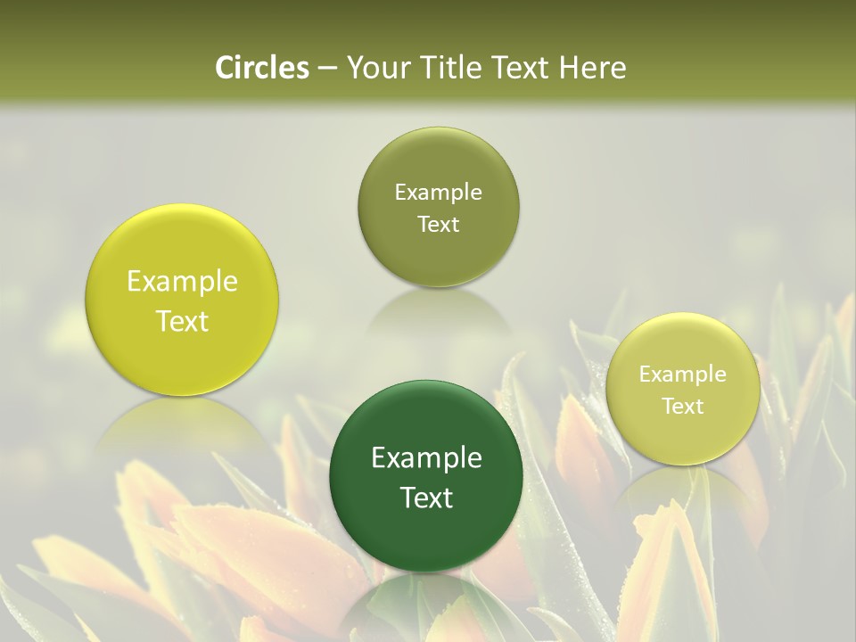 Table Bu Ine Company PowerPoint Template