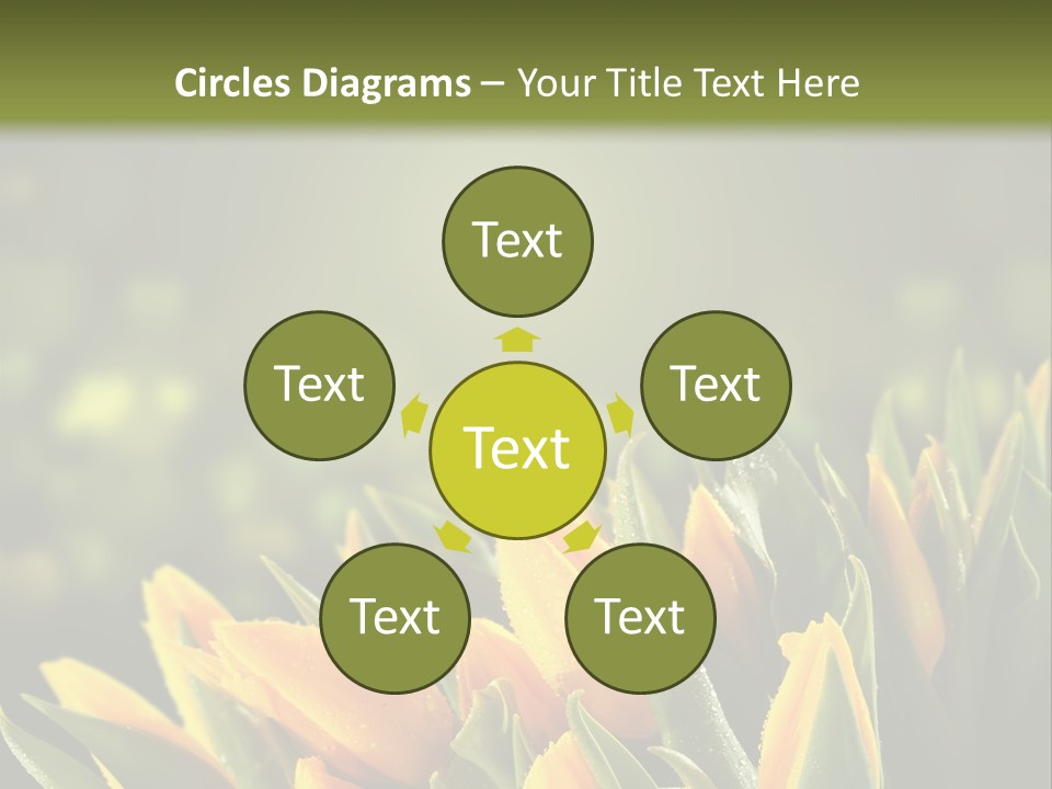 Table Bu Ine Company PowerPoint Template