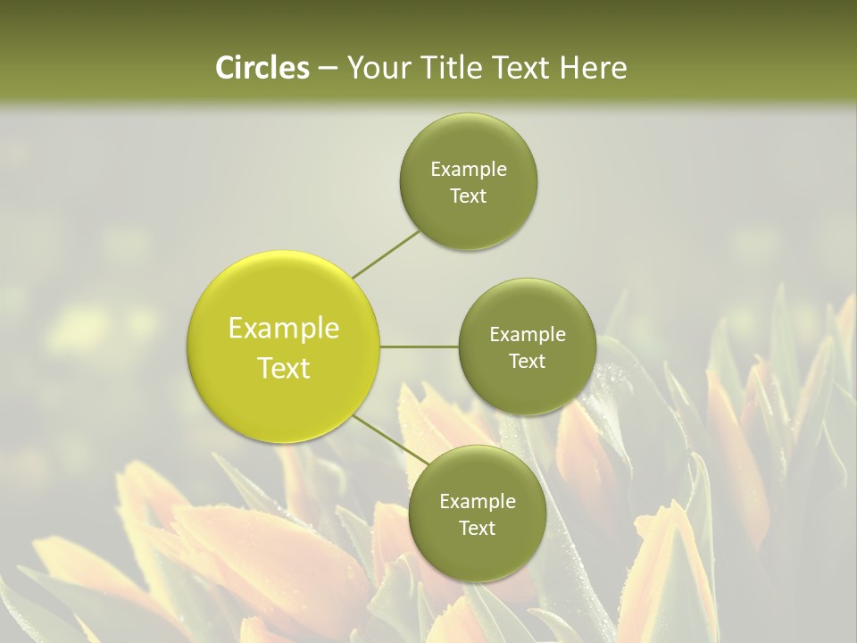 Table Bu Ine Company PowerPoint Template