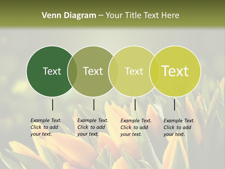 Table Bu Ine Company PowerPoint Template