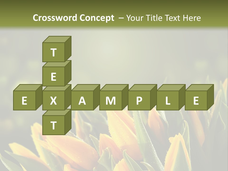 Table Bu Ine Company PowerPoint Template