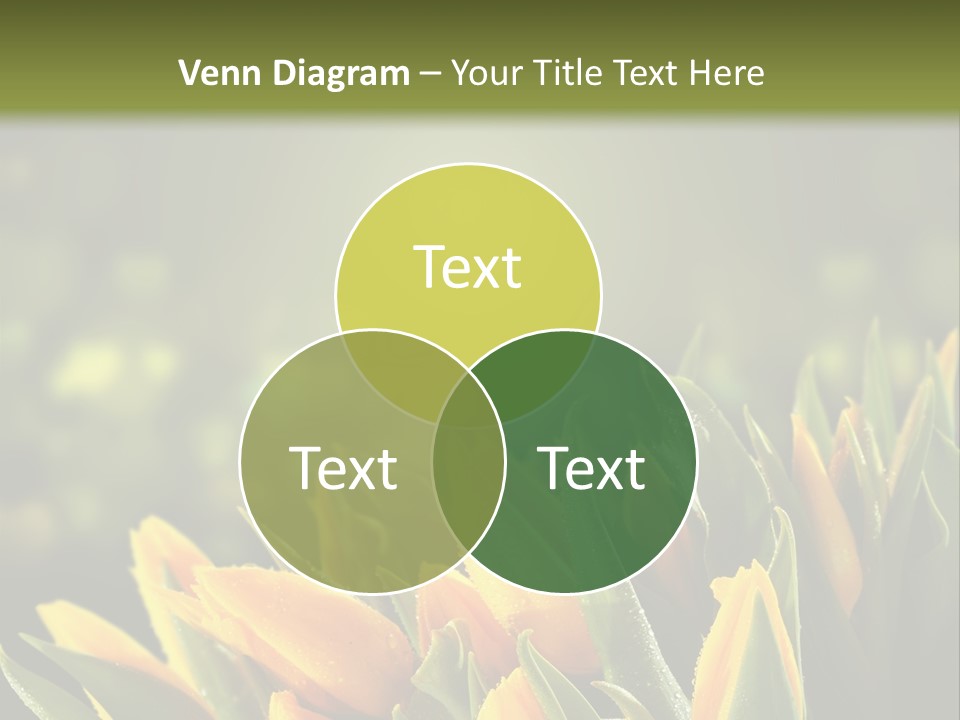 Table Bu Ine Company PowerPoint Template