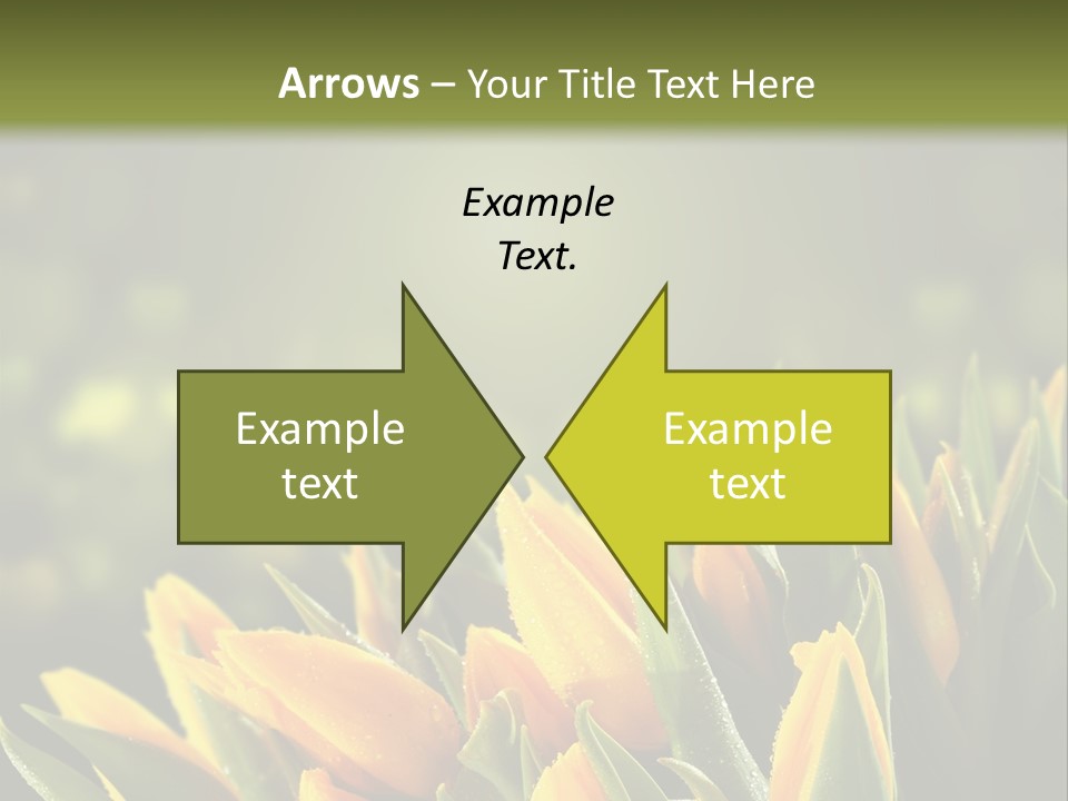 Table Bu Ine Company PowerPoint Template