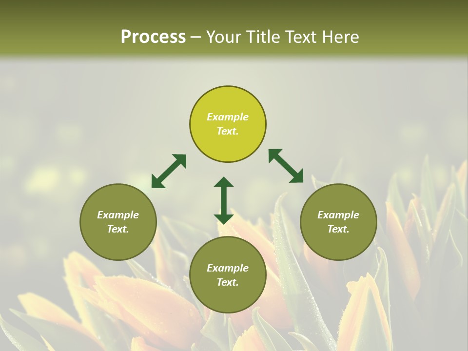 Table Bu Ine Company PowerPoint Template